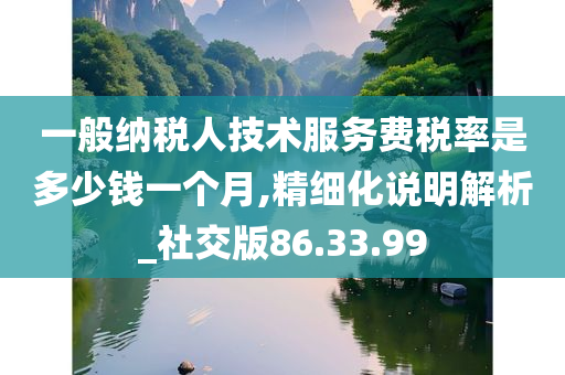 一般纳税人技术服务费税率是多少钱一个月,精细化说明解析_社交版86.33.99