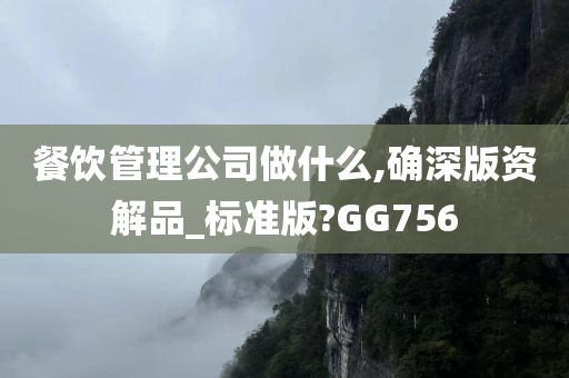 餐饮管理公司做什么,确深版资解品_标准版?GG756