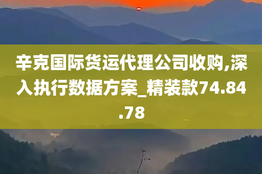 辛克国际货运代理公司收购,深入执行数据方案_精装款74.84.78