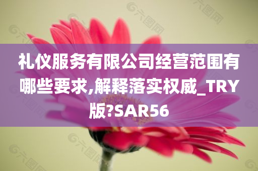 礼仪服务有限公司经营范围有哪些要求,解释落实权威_TRY版?SAR56