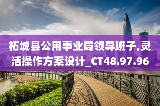 柘城县公用事业局领导班子,灵活操作方案设计_CT48.97.96