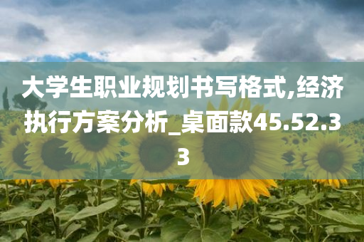 大学生职业规划书写格式,经济执行方案分析_桌面款45.52.33