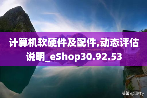 计算机软硬件及配件,动态评估说明_eShop30.92.53