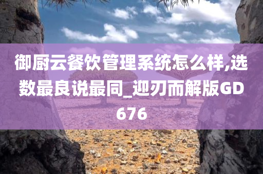 御厨云餐饮管理系统怎么样,选数最良说最同_迎刃而解版GD676