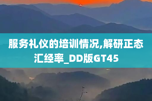 服务礼仪的培训情况,解研正态汇经率_DD版GT45