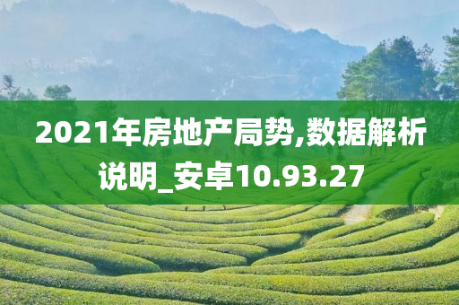 2021年房地产局势,数据解析说明_安卓10.93.27