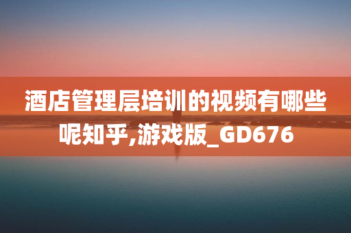 酒店管理层培训的视频有哪些呢知乎,游戏版_GD676