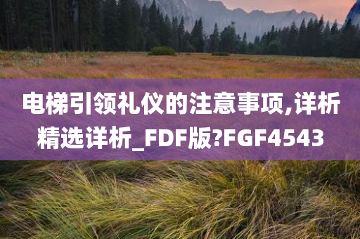 电梯引领礼仪的注意事项,详析精选详析_FDF版?FGF4543