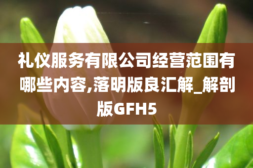 礼仪服务有限公司经营范围有哪些内容,落明版良汇解_解剖版GFH5