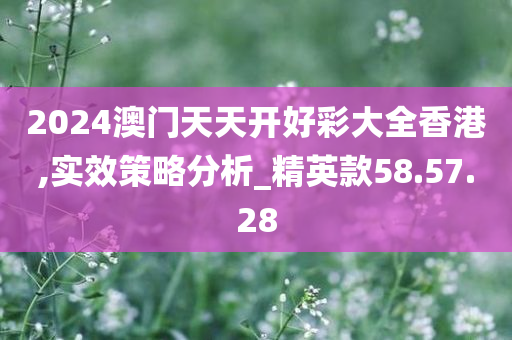 2024澳门天天开好彩大全香港,实效策略分析_精英款58.57.28