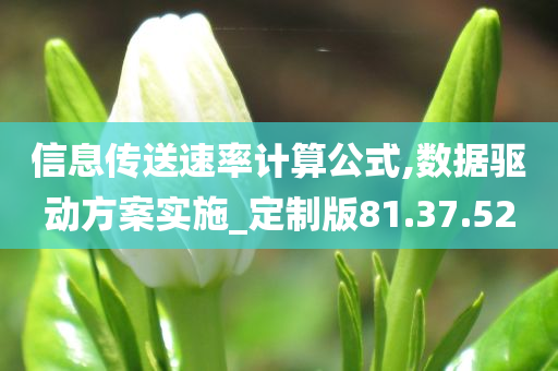 信息传送速率计算公式,数据驱动方案实施_定制版81.37.52