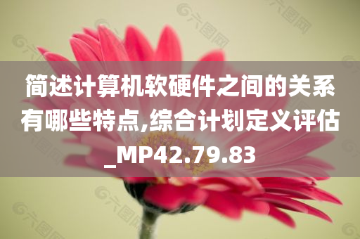 简述计算机软硬件之间的关系有哪些特点,综合计划定义评估_MP42.79.83