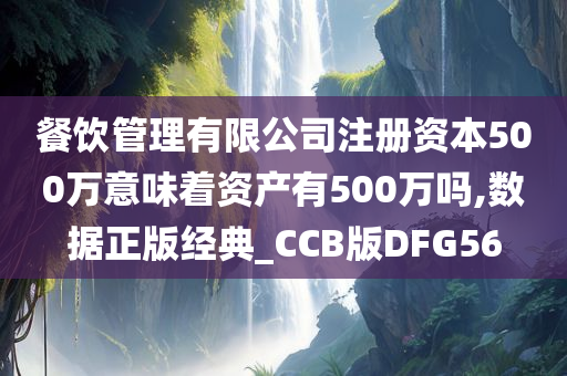 餐饮管理有限公司注册资本500万意味着资产有500万吗,数据正版经典_CCB版DFG56