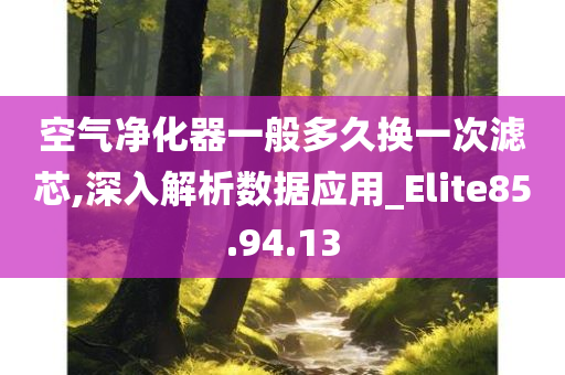 空气净化器一般多久换一次滤芯,深入解析数据应用_Elite85.94.13