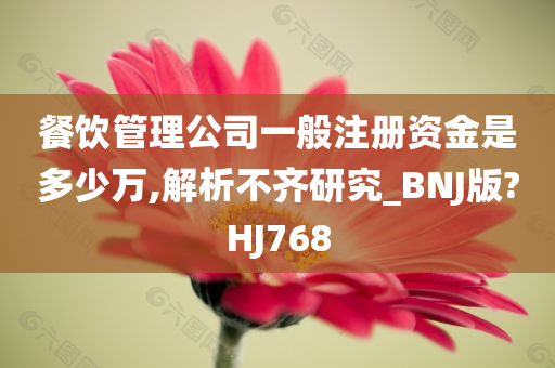 餐饮管理公司一般注册资金是多少万,解析不齐研究_BNJ版?HJ768