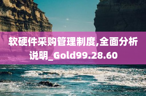 软硬件采购管理制度,全面分析说明_Gold99.28.60