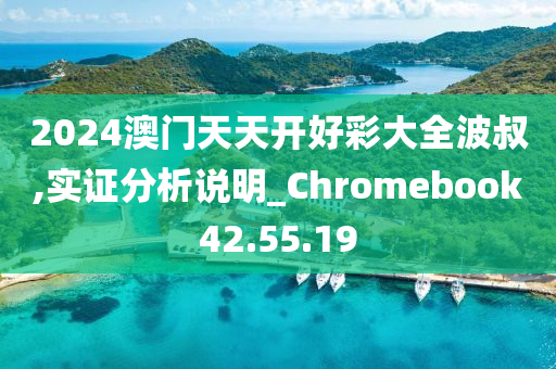 2024澳门天天开好彩大全波叔,实证分析说明_Chromebook42.55.19