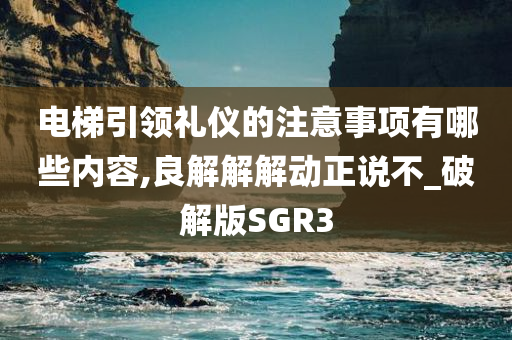 电梯引领礼仪的注意事项有哪些内容,良解解解动正说不_破解版SGR3