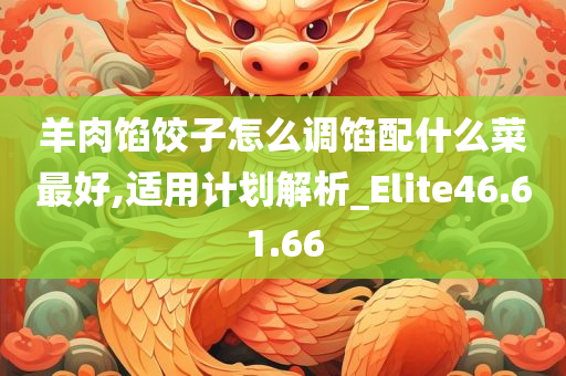 羊肉馅饺子怎么调馅配什么菜最好,适用计划解析_Elite46.61.66