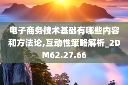 电子商务技术基础有哪些内容和方法论,互动性策略解析_2DM62.27.66