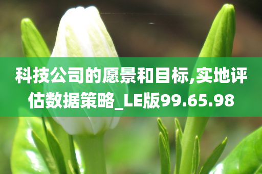 科技公司的愿景和目标,实地评估数据策略_LE版99.65.98