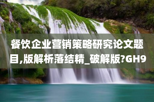 餐饮企业营销策略研究论文题目,版解析落结精_破解版?GH9