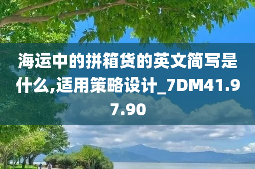 海运中的拼箱货的英文简写是什么,适用策略设计_7DM41.97.90