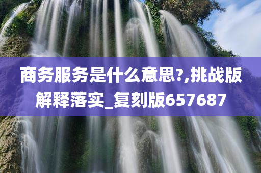 商务服务是什么意思?,挑战版解释落实_复刻版657687