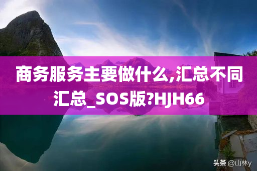 商务服务主要做什么,汇总不同汇总_SOS版?HJH66