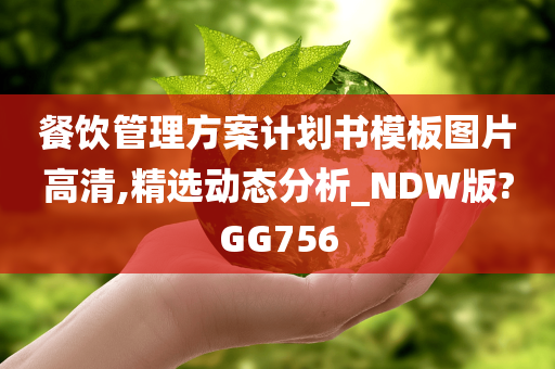 餐饮管理方案计划书模板图片高清,精选动态分析_NDW版?GG756