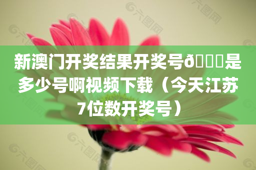 新澳门开奖结果开奖号🐎是多少号啊视频下载（今天江苏7位数开奖号）