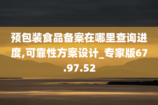 预包装食品备案在哪里查询进度,可靠性方案设计_专家版67.97.52