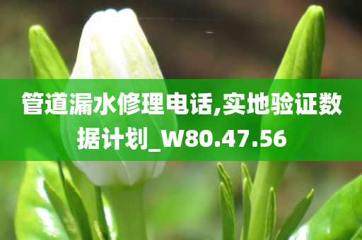 管道漏水修理电话,实地验证数据计划_W80.47.56