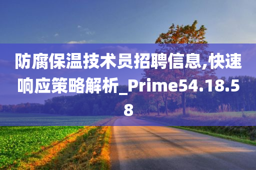 防腐保温技术员招聘信息,快速响应策略解析_Prime54.18.58