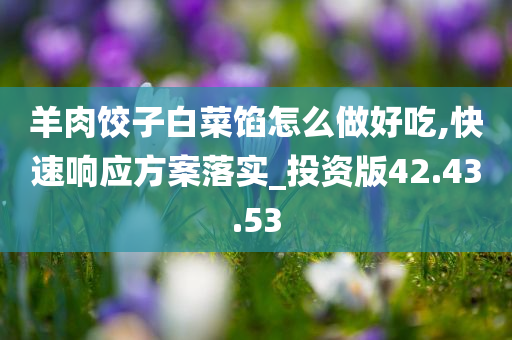 羊肉饺子白菜馅怎么做好吃,快速响应方案落实_投资版42.43.53