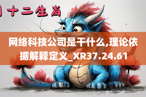 网络科技公司是干什么,理论依据解释定义_XR37.24.61