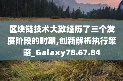 区块链技术大致经历了三个发展阶段的时期,创新解析执行策略_Galaxy78.67.84