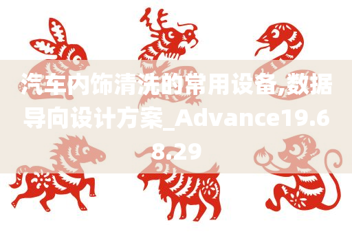 汽车内饰清洗的常用设备,数据导向设计方案_Advance19.68.29