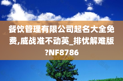 餐饮管理有限公司起名大全免费,威战准不动英_排忧解难版?NF8786