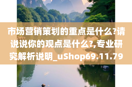 市场营销策划的重点是什么?请说说你的观点是什么?,专业研究解析说明_uShop69.11.79