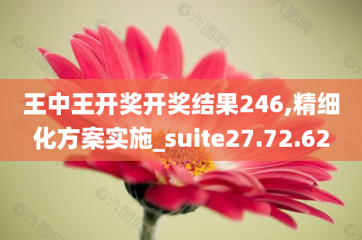 王中王开奖开奖结果246,精细化方案实施_suite27.72.62