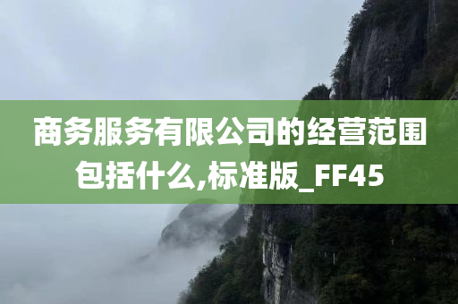 商务服务有限公司的经营范围包括什么,标准版_FF45