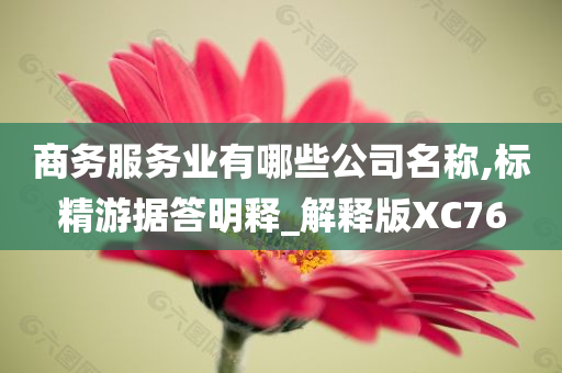 商务服务业有哪些公司名称,标精游据答明释_解释版XC76