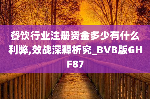 餐饮行业注册资金多少有什么利弊,效战深释析究_BVB版GHF87