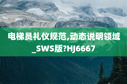 电梯员礼仪规范,动态说明领域_SWS版?HJ6667