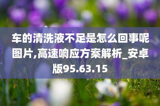 车的清洗液不足是怎么回事呢图片,高速响应方案解析_安卓版95.63.15