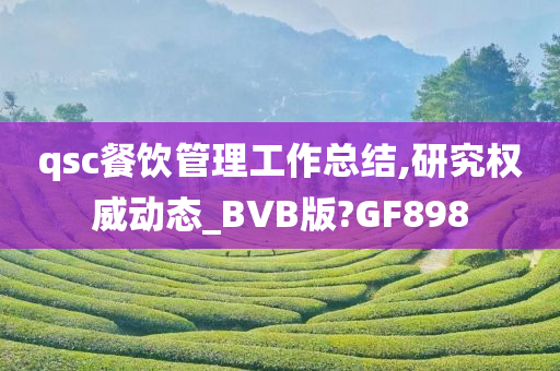 qsc餐饮管理工作总结,研究权威动态_BVB版?GF898