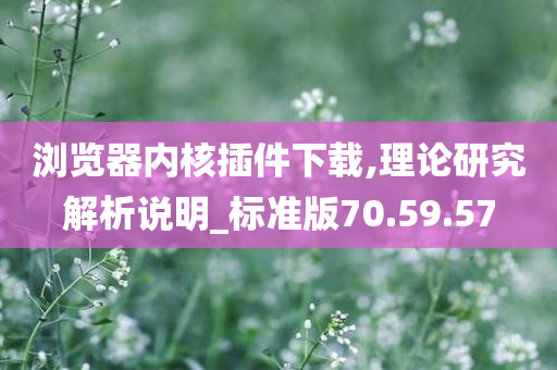 浏览器内核插件下载,理论研究解析说明_标准版70.59.57