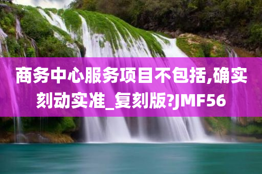 商务中心服务项目不包括,确实刻动实准_复刻版?JMF56