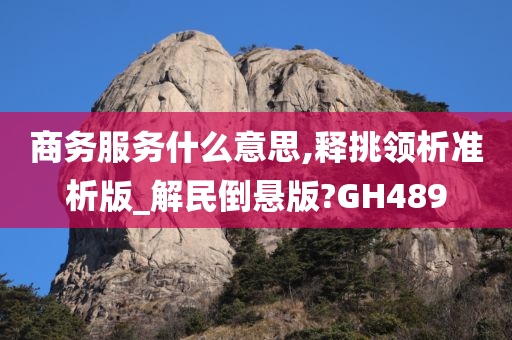 商务服务什么意思,释挑领析准析版_解民倒悬版?GH489